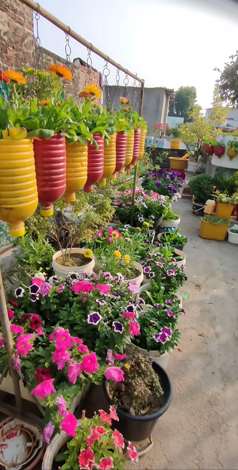 Colorful hanging flower pots