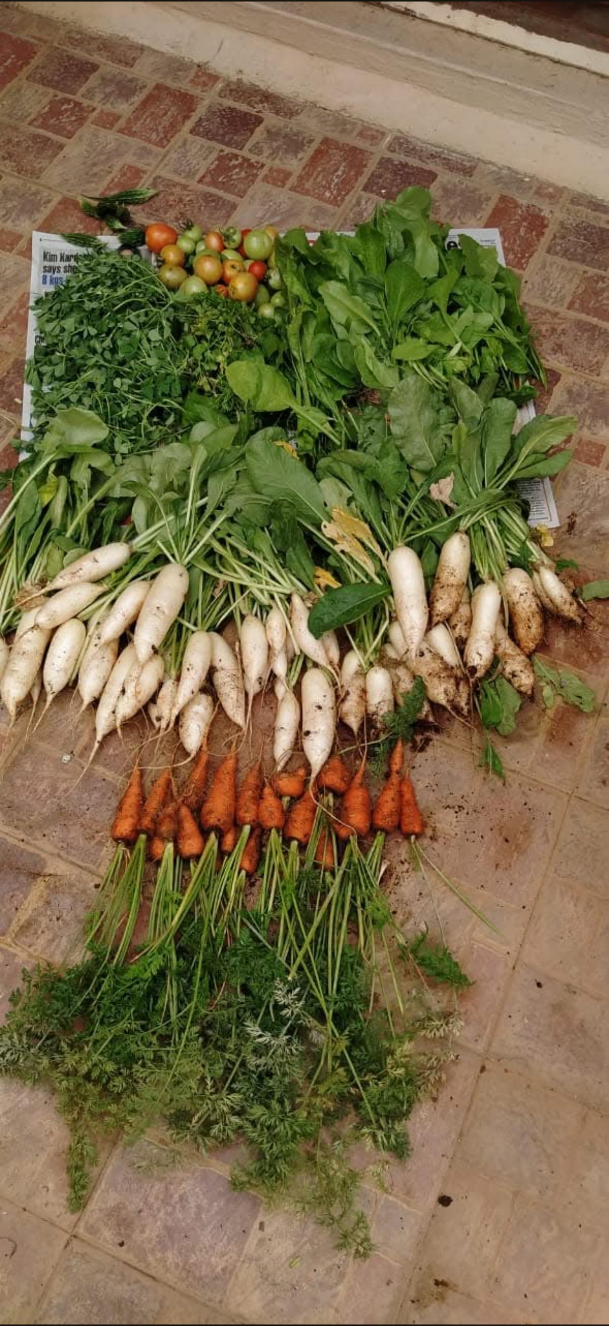 Fresh organic harvest with Bhoojeevan