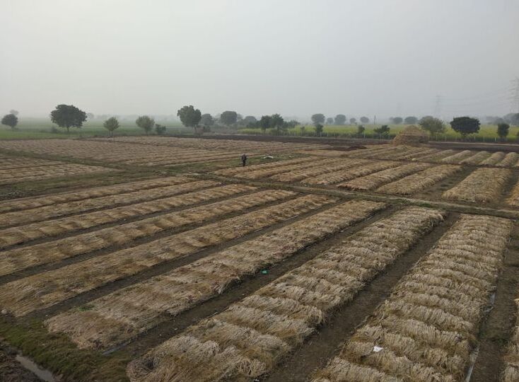 Bhoojeevan Vermicomposting Beds