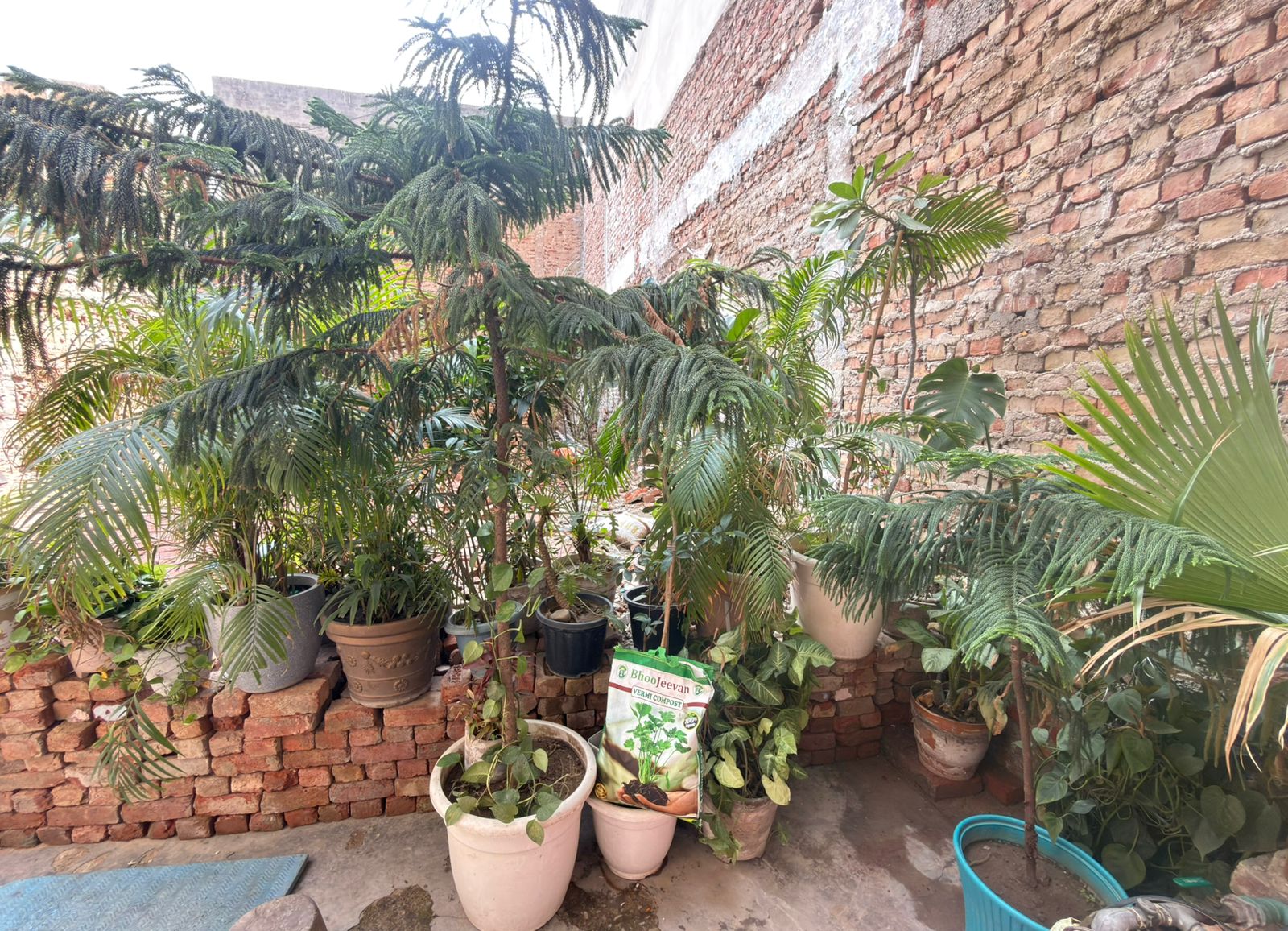 Green garden with Bhoojeevan products